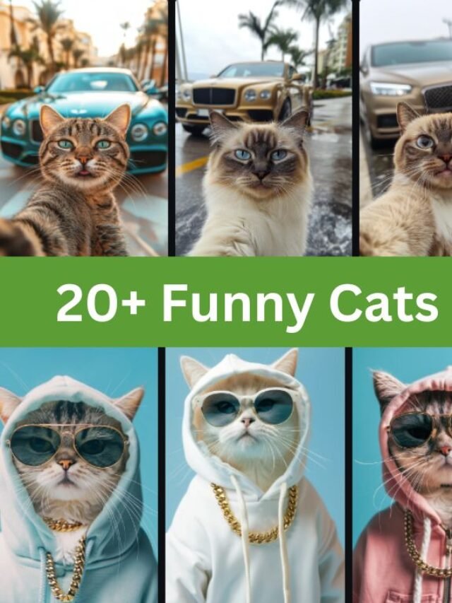 Funny Cats Midjourney Prompts List